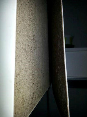 Cư dân Mulberry Lane khiếp đảm vì nước bẩn, thang máy rơi, báo cháy giả